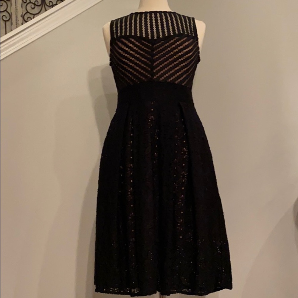 New York and Company Tan and Black Lace Dress